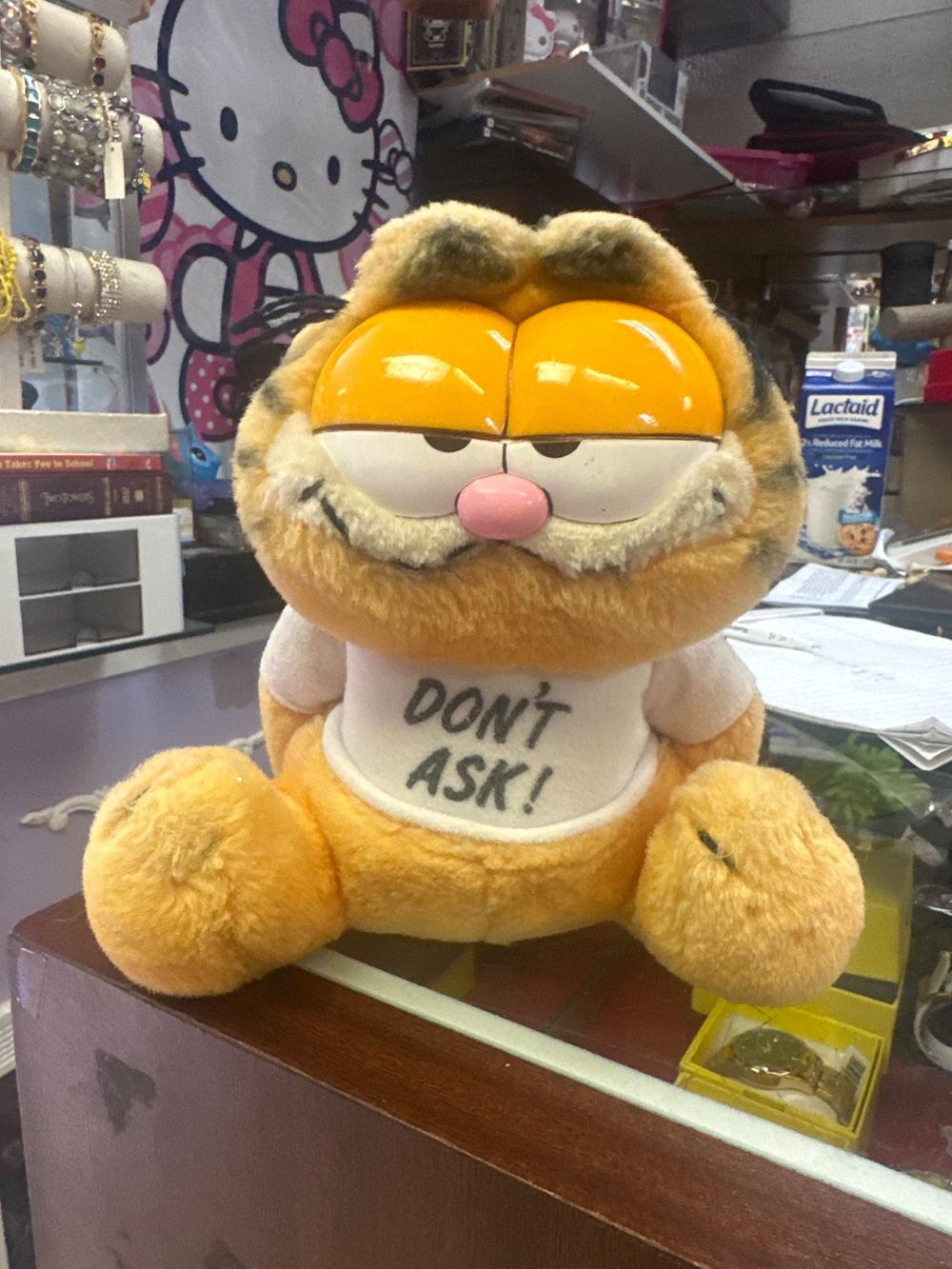 Vintage Garfield "Don't Ask!" Plush With Hard Face