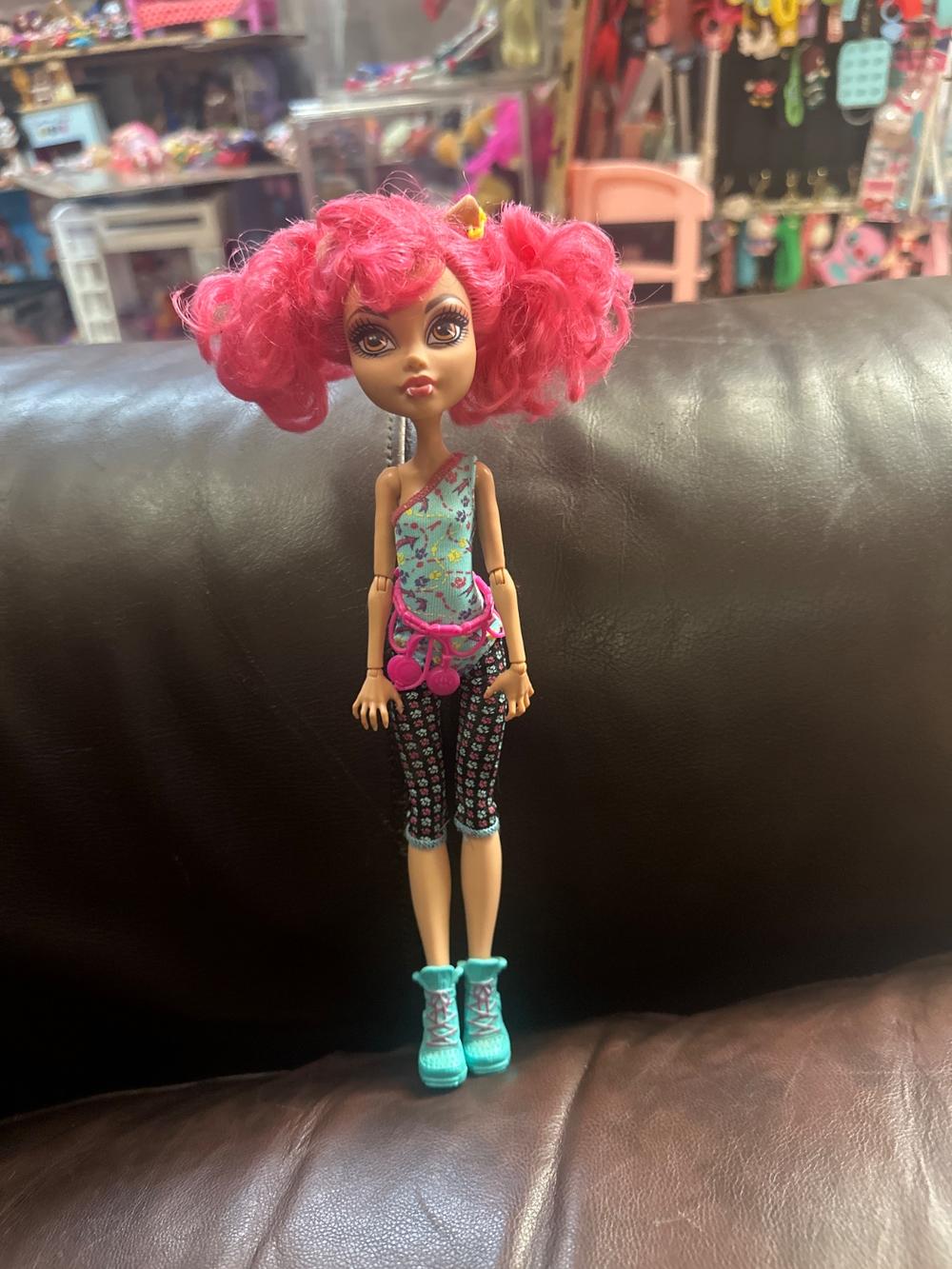 Pink Curly-Haired Monster High Doll With Floral Outfit