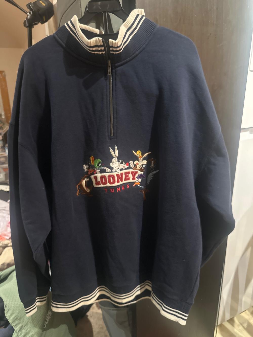 Looney Tunes Embroidered Quarter-Zip Sweatshirt