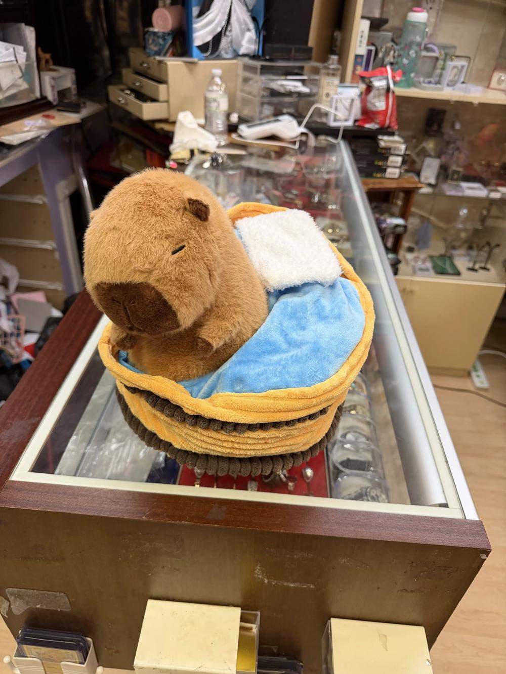 capybara plush toy