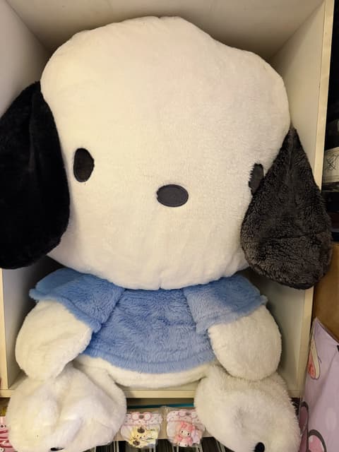 Pochacco