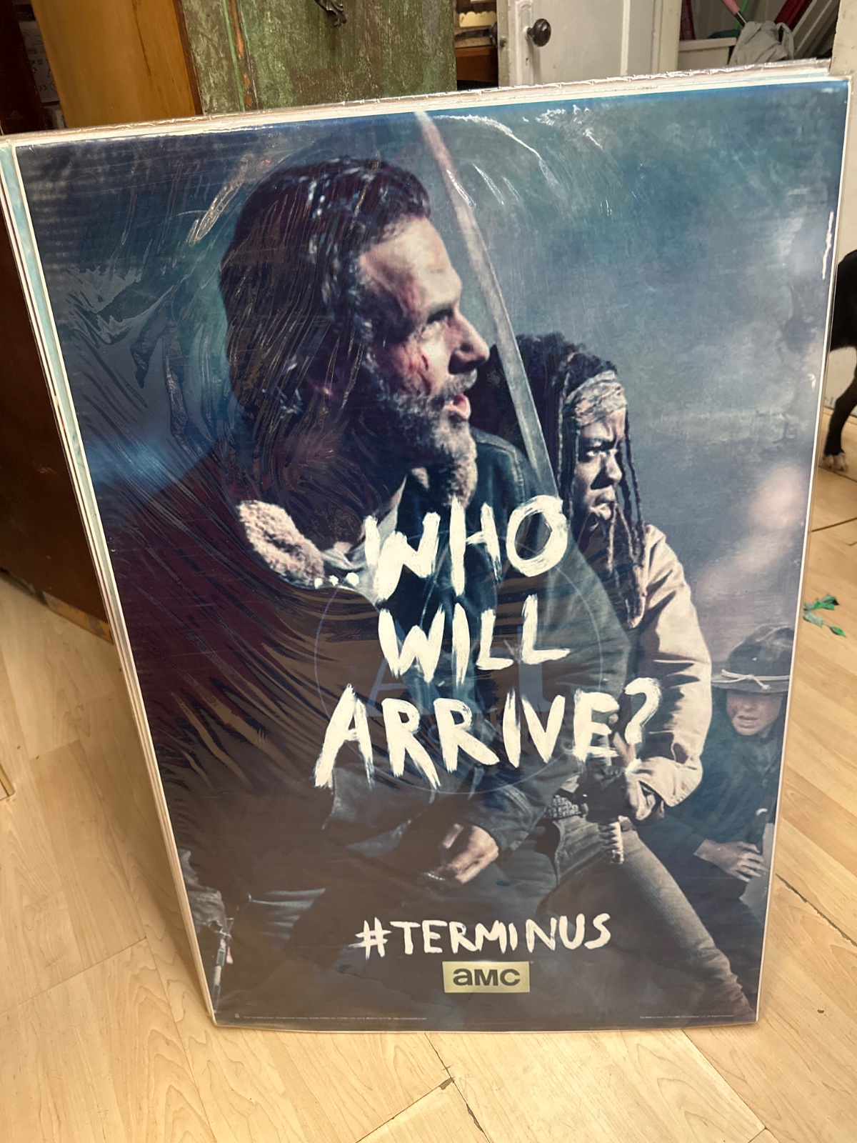 The Walking Dead Terminus Poster