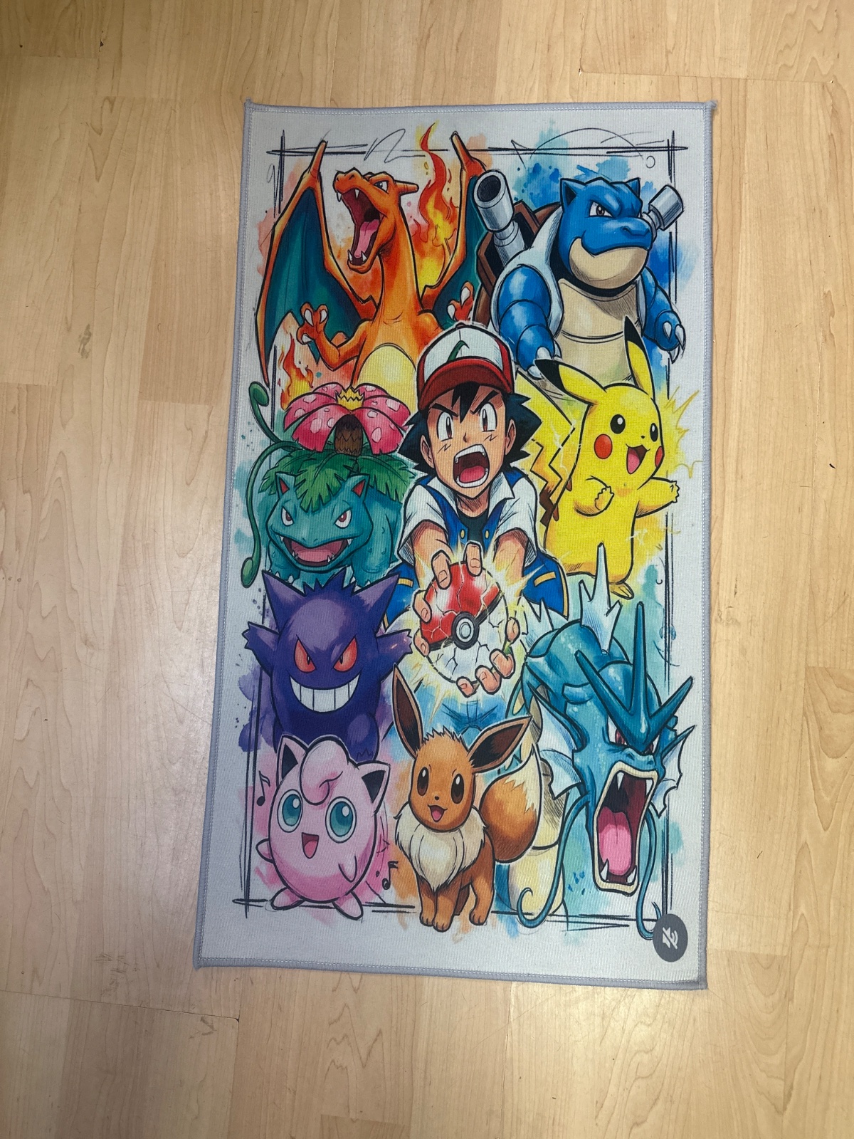 Pokemon Character Print Rug