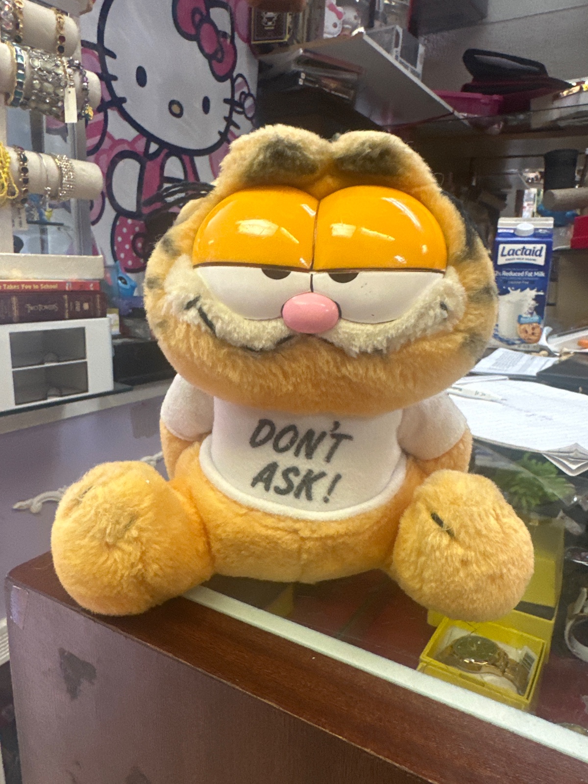Vintage Garfield "Don't Ask!" Plush With Hard Face