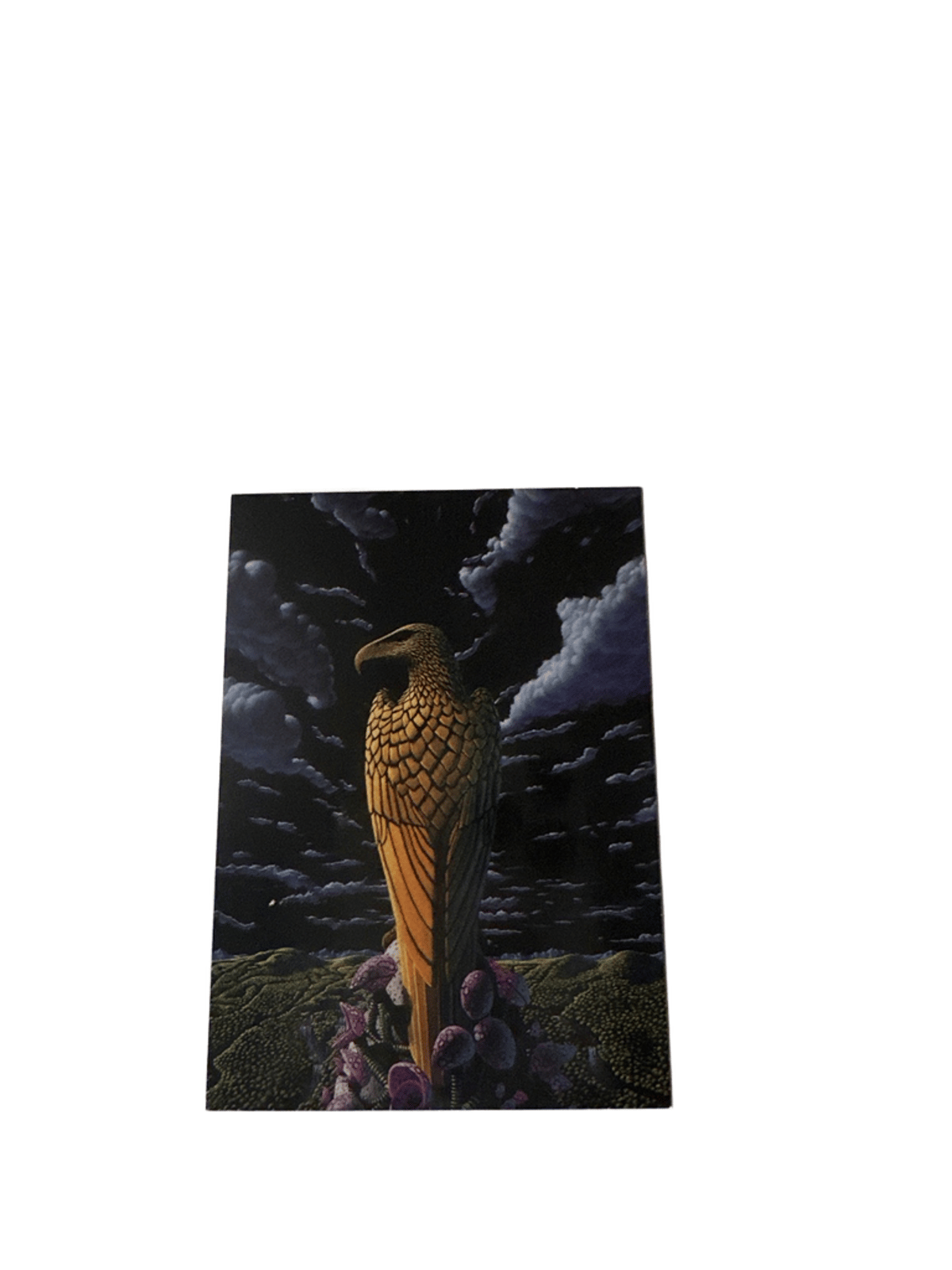 FPG Tim White Fantasy Art Trading Card #5 The Eagle 1994