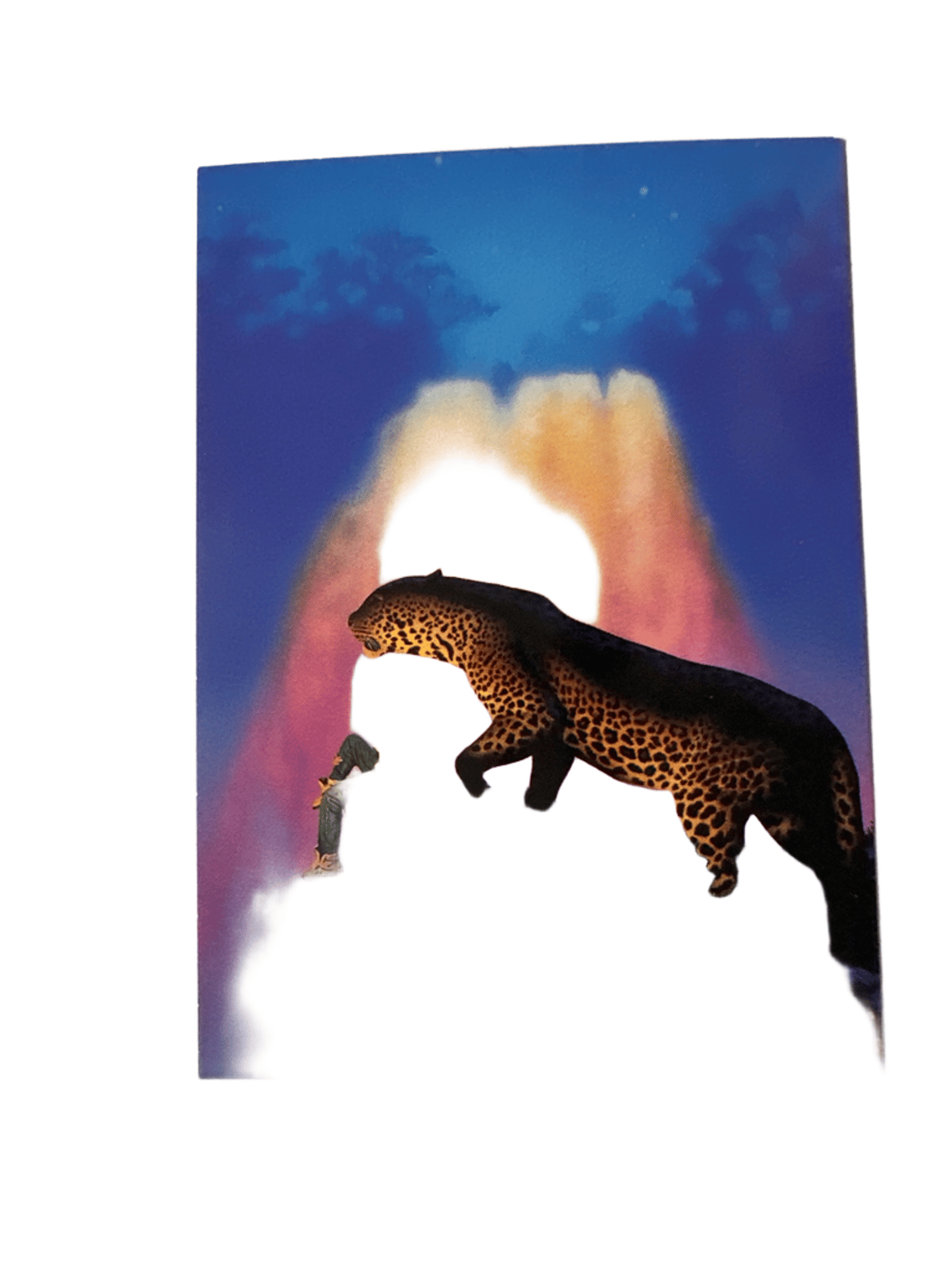 Tim White Fantasy Art Trading Card #9 In the Forest of the Night FPG 1994