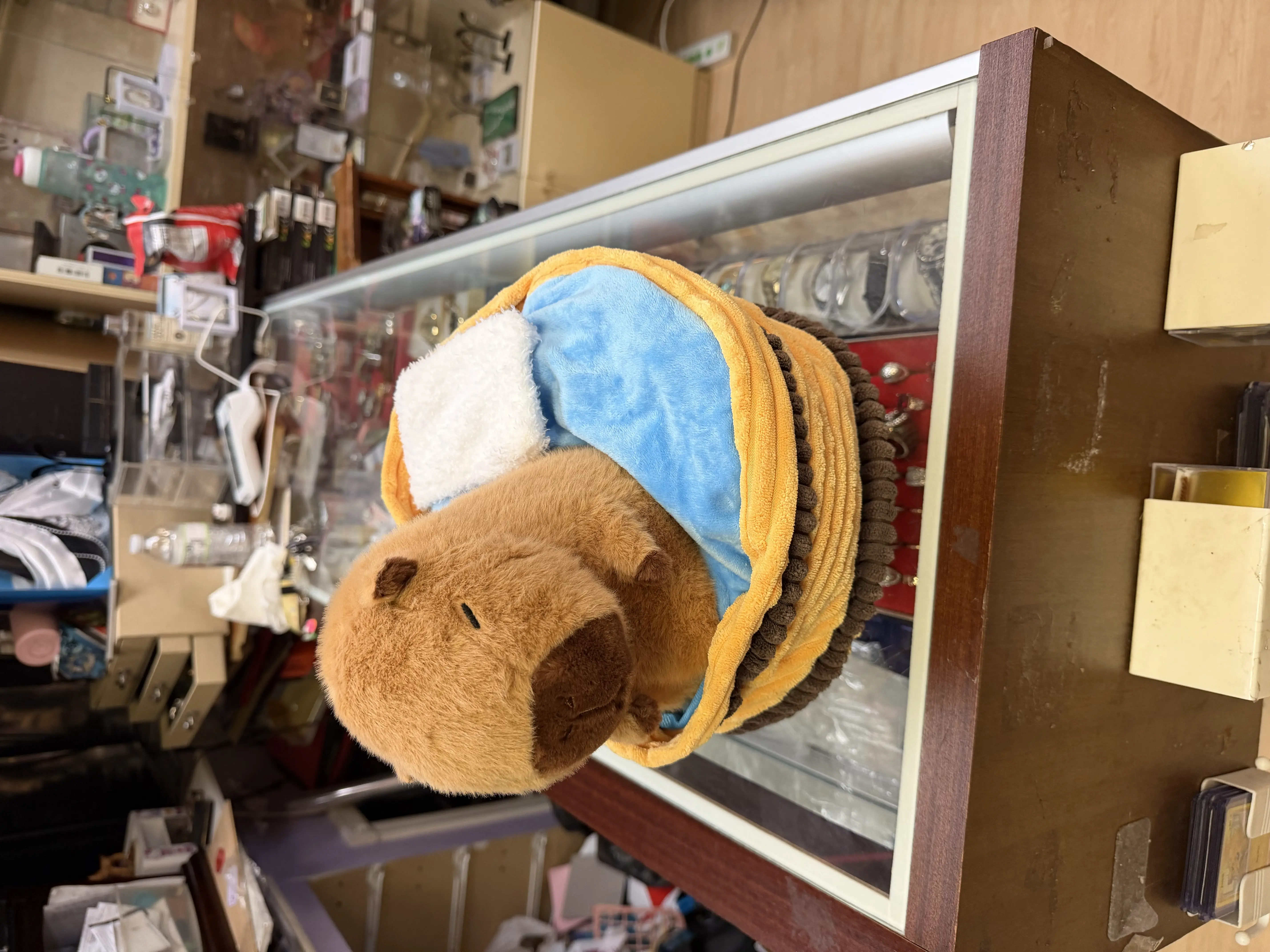capybara plush toy