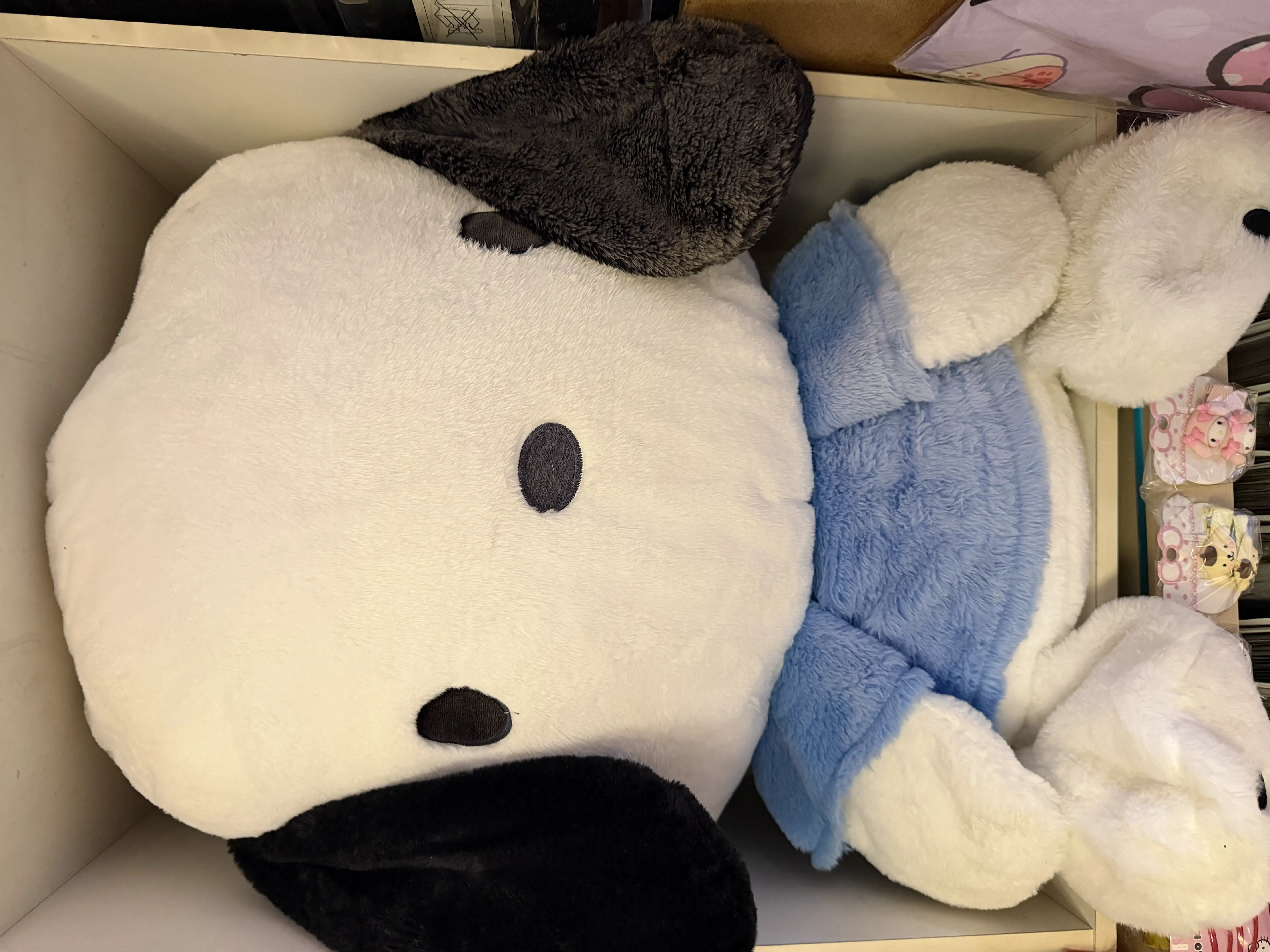 Pochacco