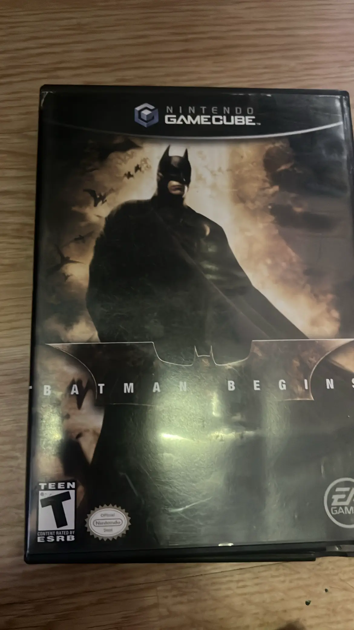Batman Begins